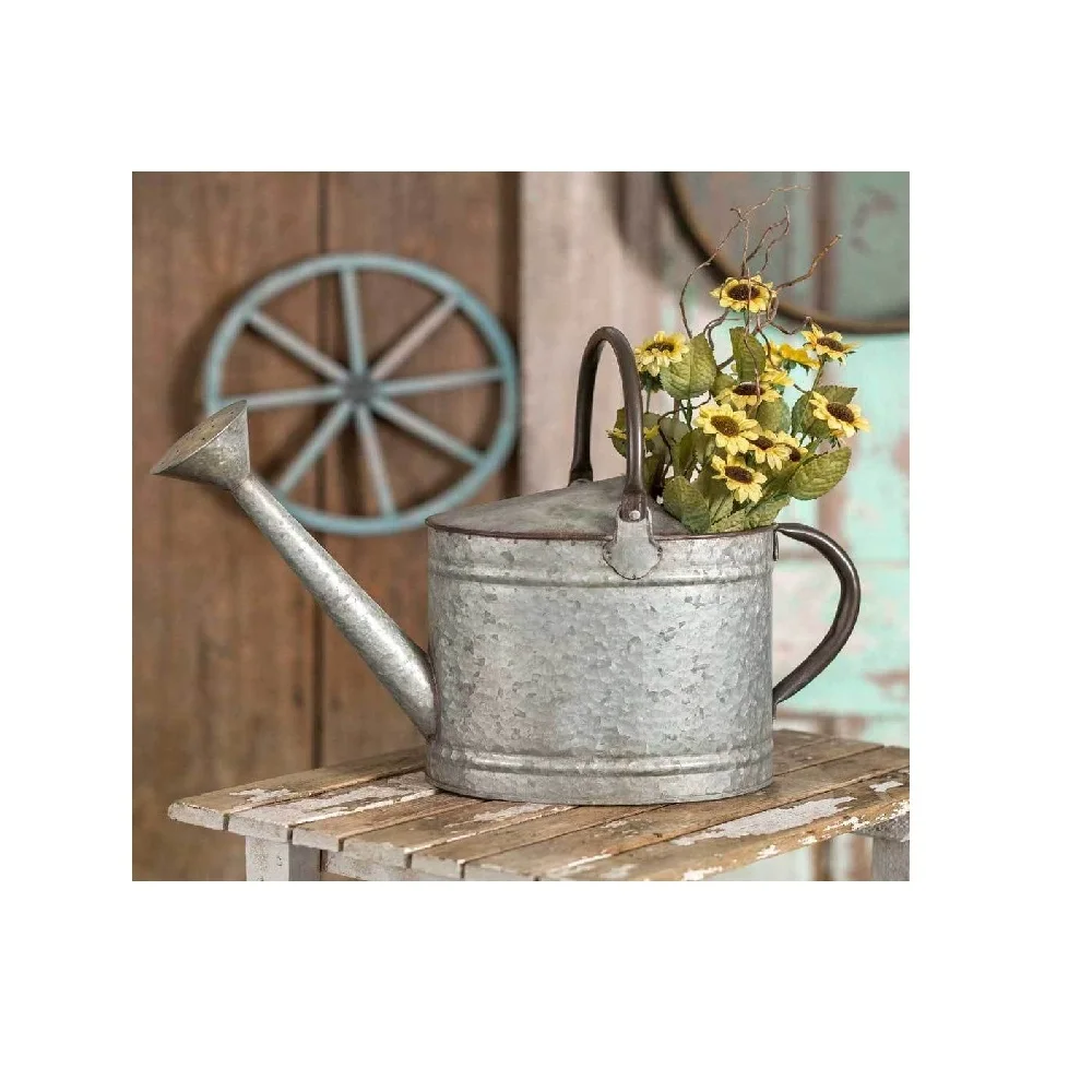 Vintage Galvanized Metal Watering Cane With Handle Home Garden Decoration Luxury Water Cane Planter for Sale in Wholesale Price