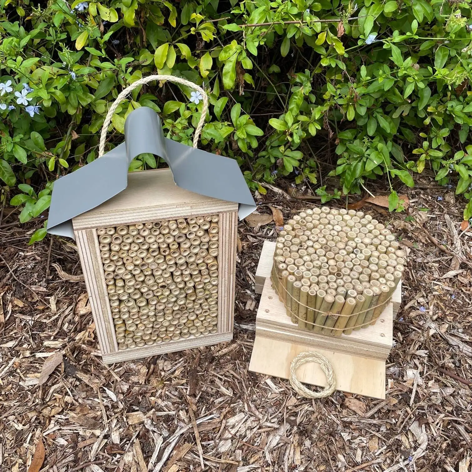 Lot De 100 Tuteurs Bambou Naturel 10cm - Idéal Pour Jardin, Artisanat Et Hôtel à Insectes