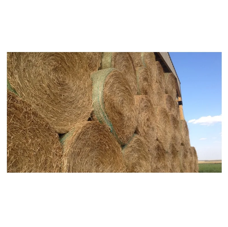 Hay And Forage Square Bales For Sale Buy Forage For Animal Feed