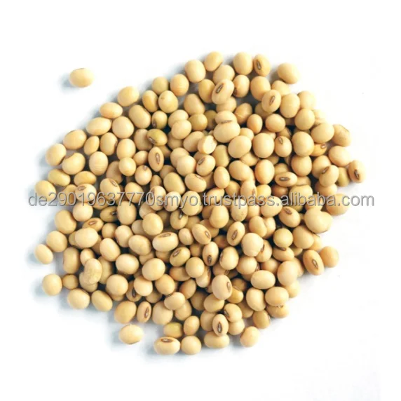 Seeds and Soya bean Seeds.jpg