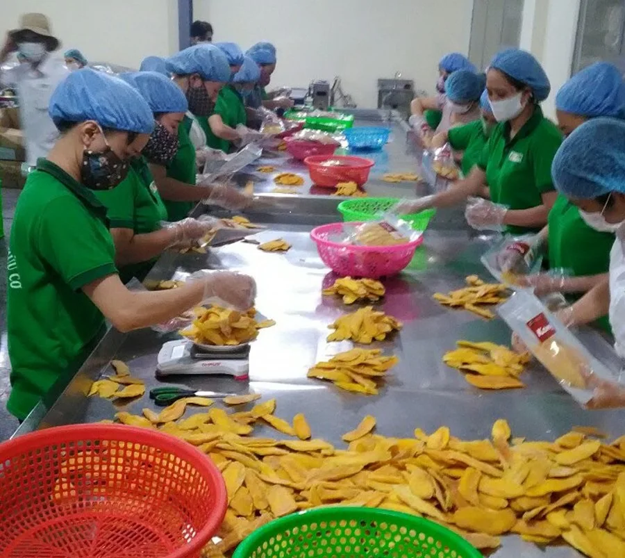 Dried Fruit in Small Packaging Small MOQ for Retails and Wholesales with Good Price - JANE LEE +84968234538