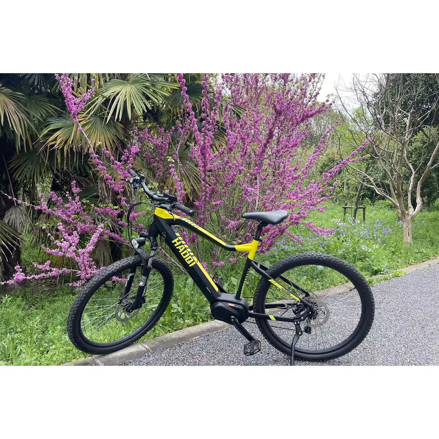 HAOQl Cheetah All-Terrain E-MTB 60V 250W Zentralmotor mit 48V Lithium-Batterie Mittelantrieb 60km Reichweite Geländetauglichkeit
