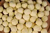 Sfera Batterica a Infrarossi Lontani
