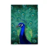 Verde, Azul