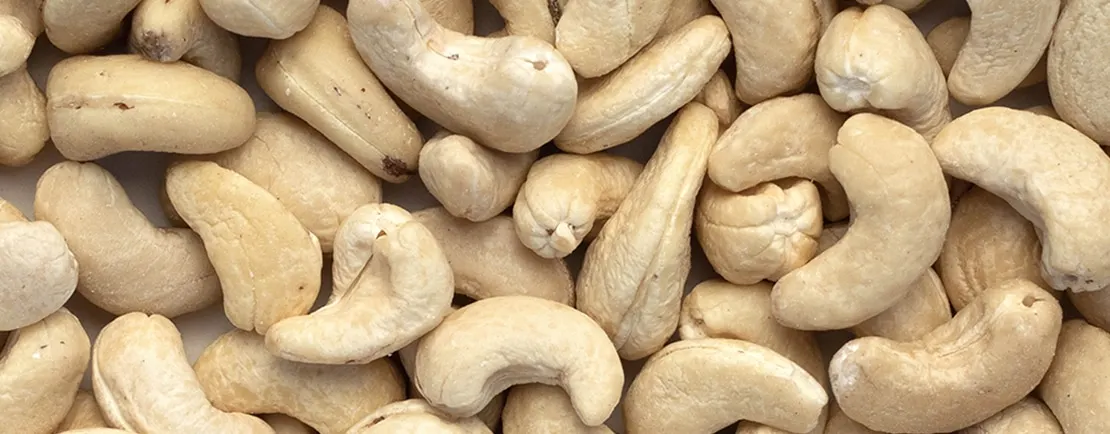 Best Quality Cashew Nuts With Customized labelling and  Packaging at Low Factory Price