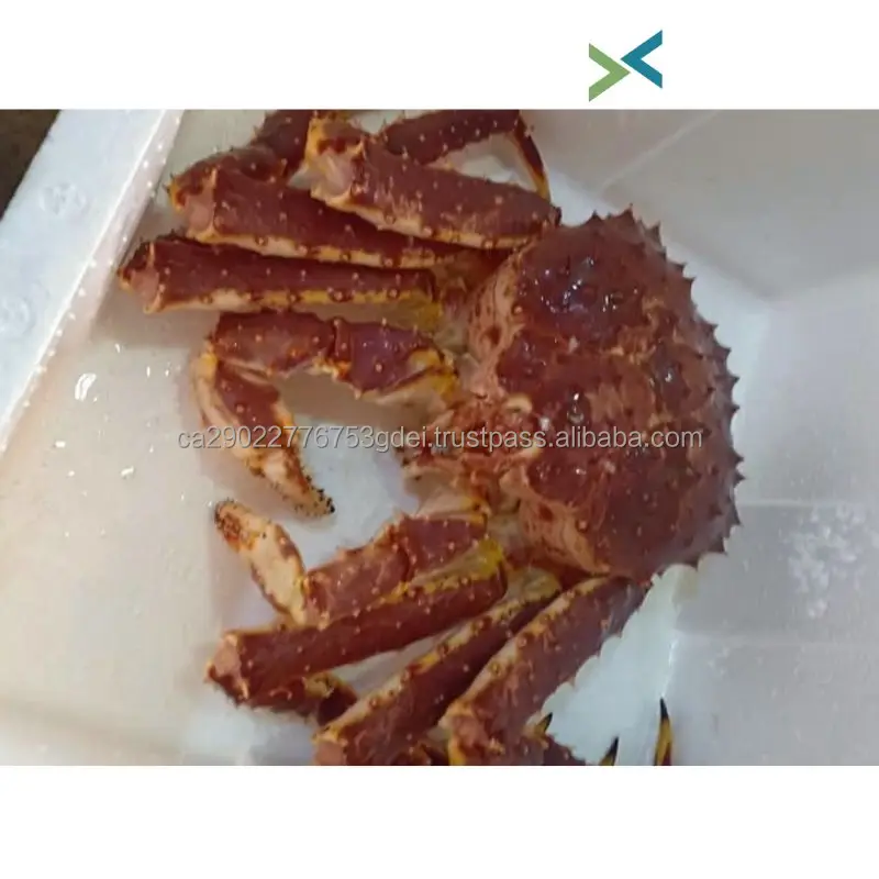 Wholesale Sea Food Mix/frozen Snow Crab Canada Supplier Buy Crab Legs