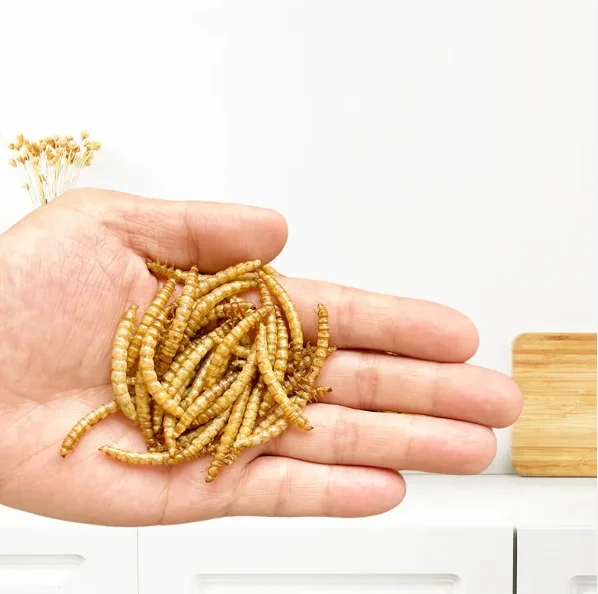 Dried Meal Worms/mealworms For Poultry Feed Animal Buy Meal Worms