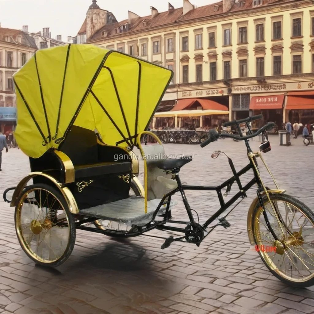 観光用デラックスヒューマンパワー人力車乗用三輪車| Alibaba.com