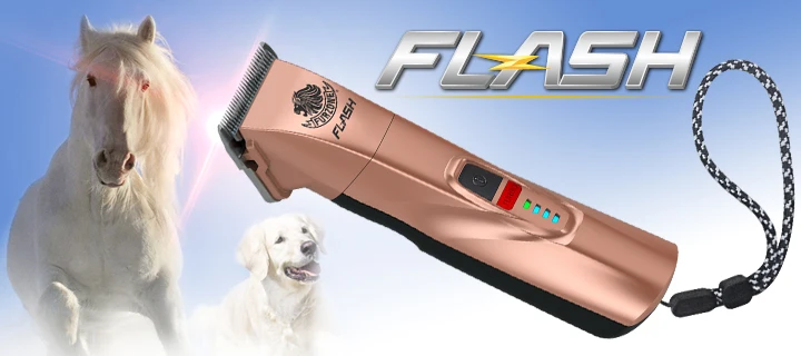 FLASH(930) banner.jpg