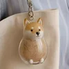 Corgi