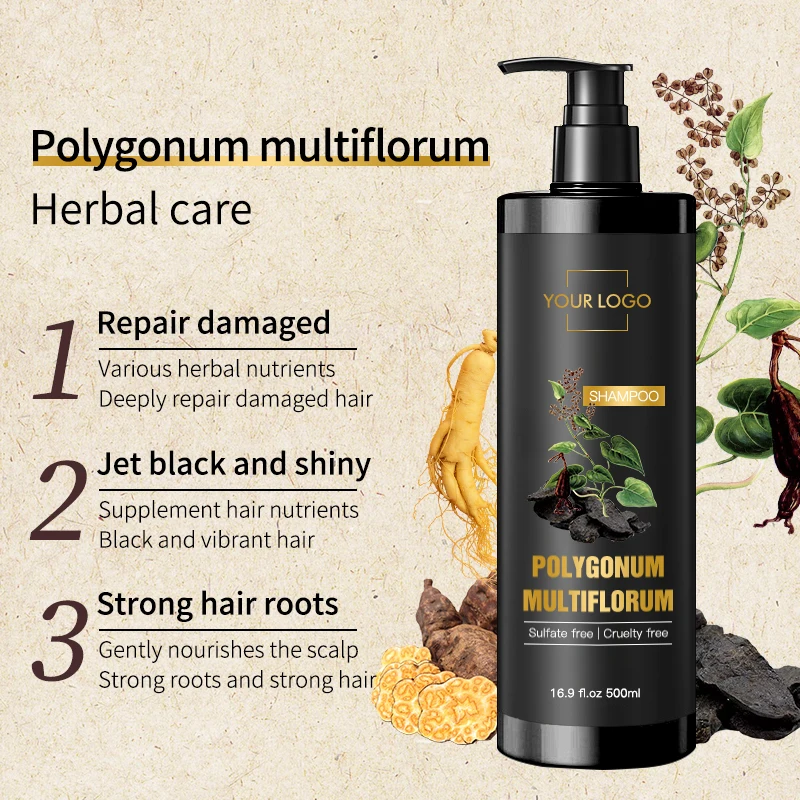 Производитель OEM частная марка аргановое масло шампунь без сульфатов эссенций полигон мультифлорум черный против выпадения