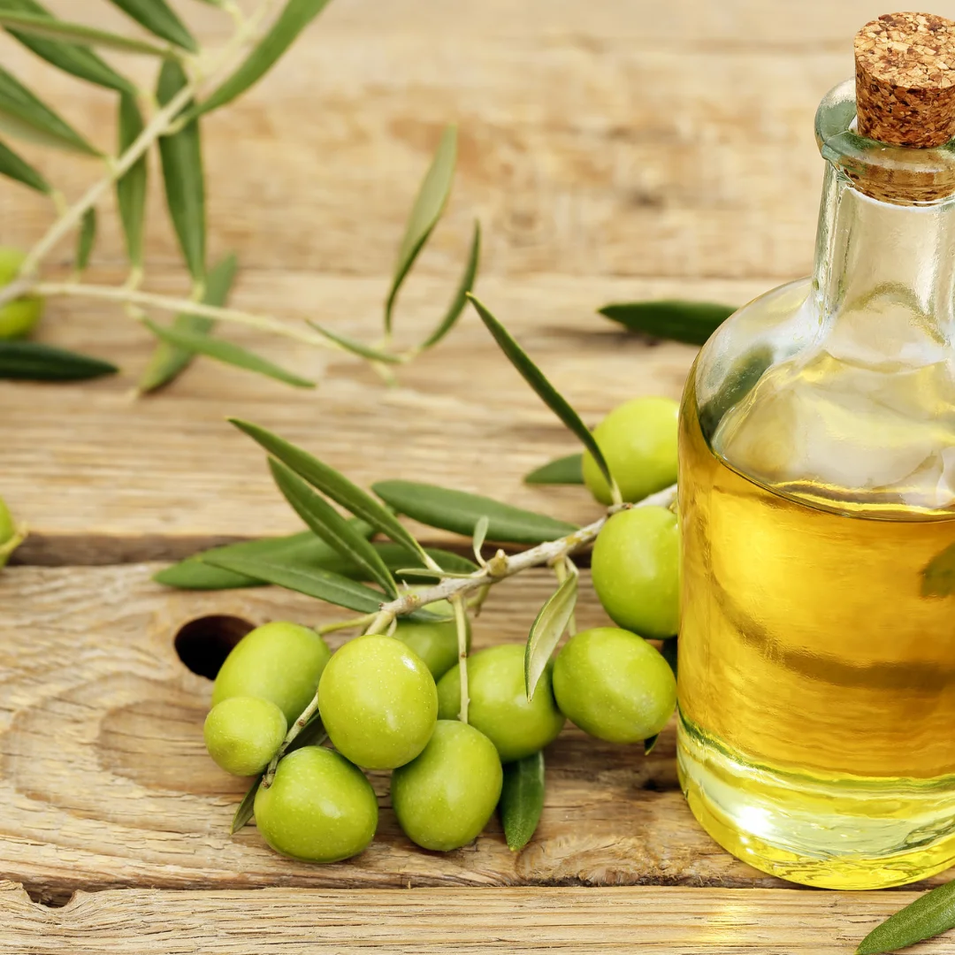 Gourmet Olive Oil Supplier Buy Sustainable Olive Farming Organic