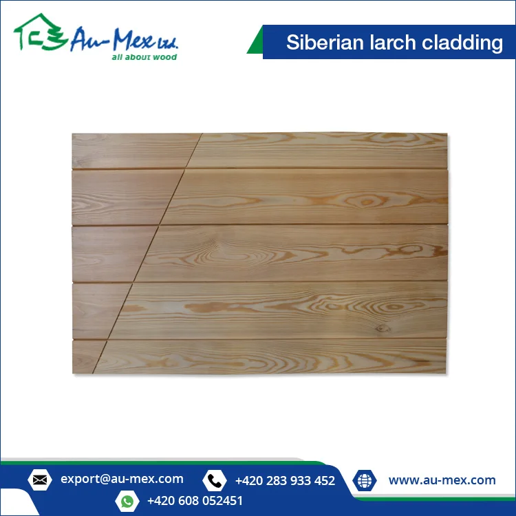 Siberian Larch Wood Wall Cladding at Low Price 20x69 mm