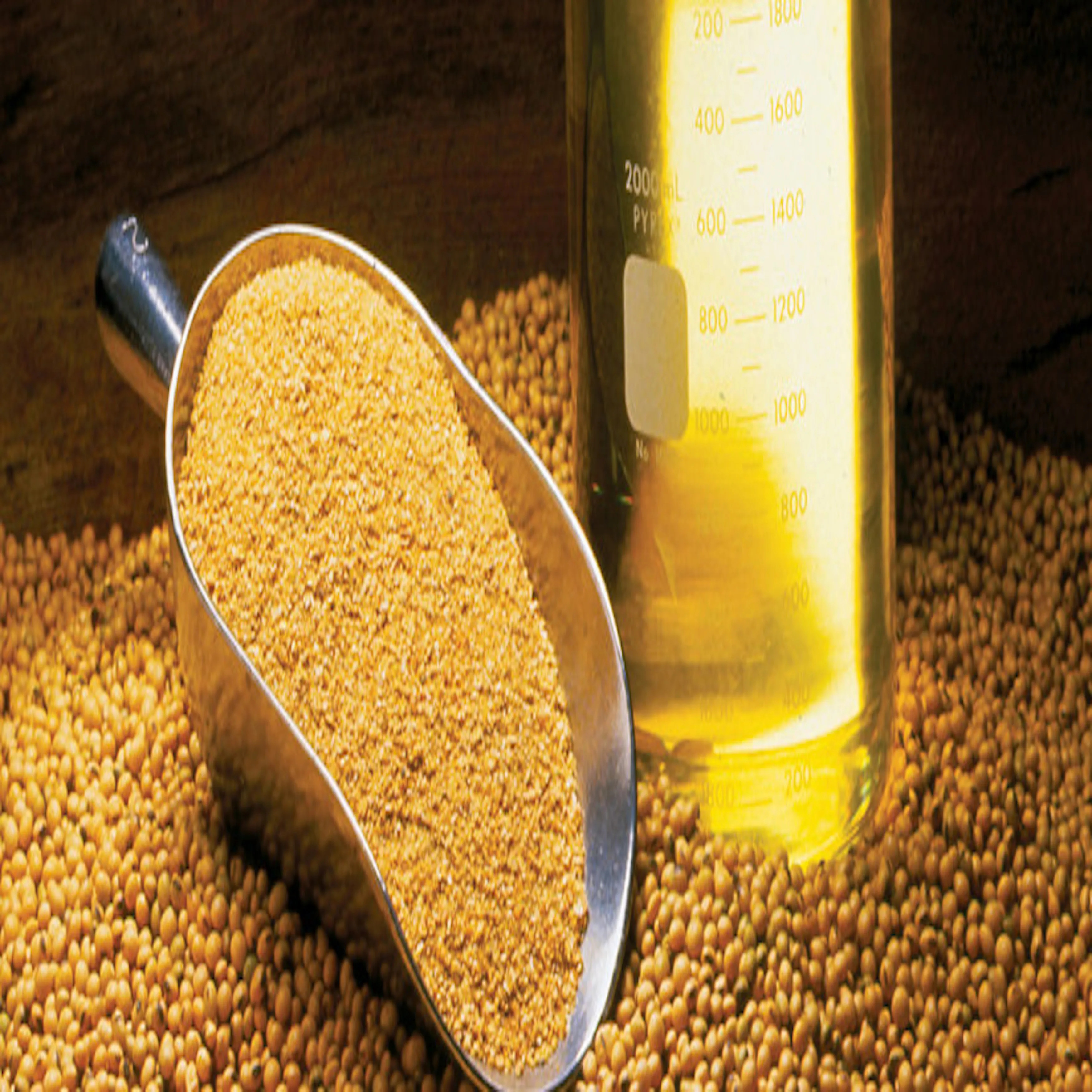 Soybean Meal Feed Food Wholesale Prices Buy Soybeans Agriculture,Soya