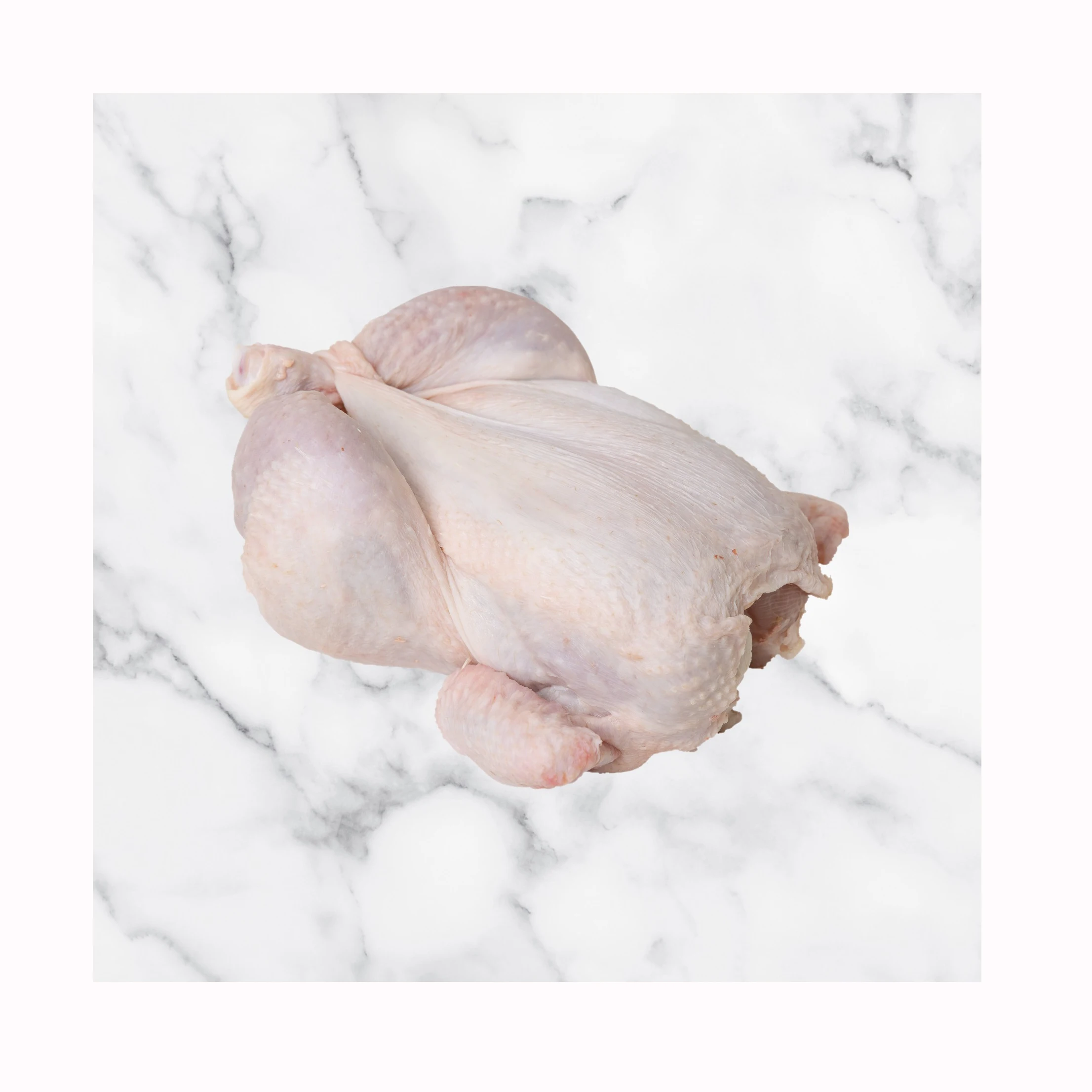 Quality Frozen Whole Chicken For Sale Buy Wholesale Halal Frozen