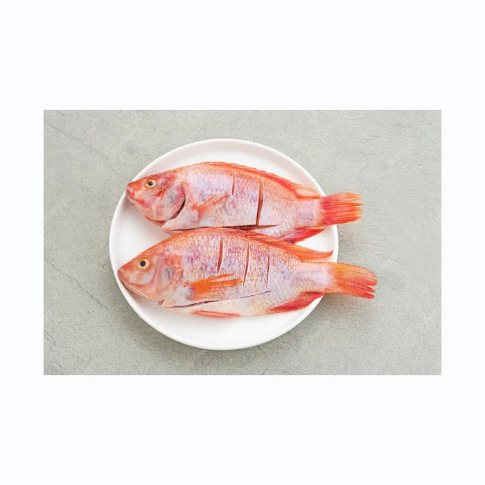 Seafood Fresh Frozen Red Tilapia Fish Red Snapper Tilapia Fish For