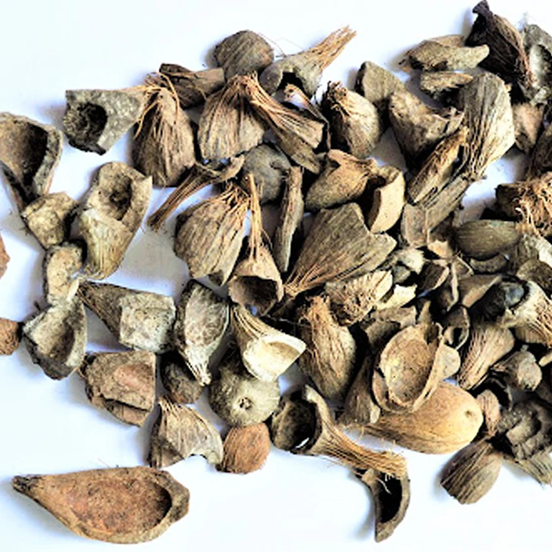 Friendly Fuel Industry Palm Kernel Shell Indonesia PKS Palm Shell High Active Carbon for Palm Kernel Charcoal Raw Material