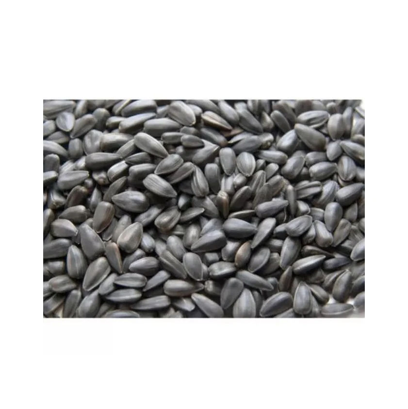 Different Types Of Sunflower Seeds / Sun Flower Seeds Kernel Buy Best