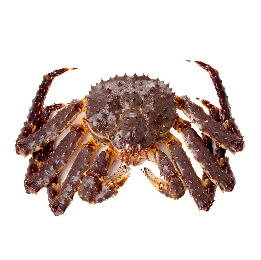 Red Alaskan King Crab/fresh Frozen And Mud Crabs Red King Crabs Soft