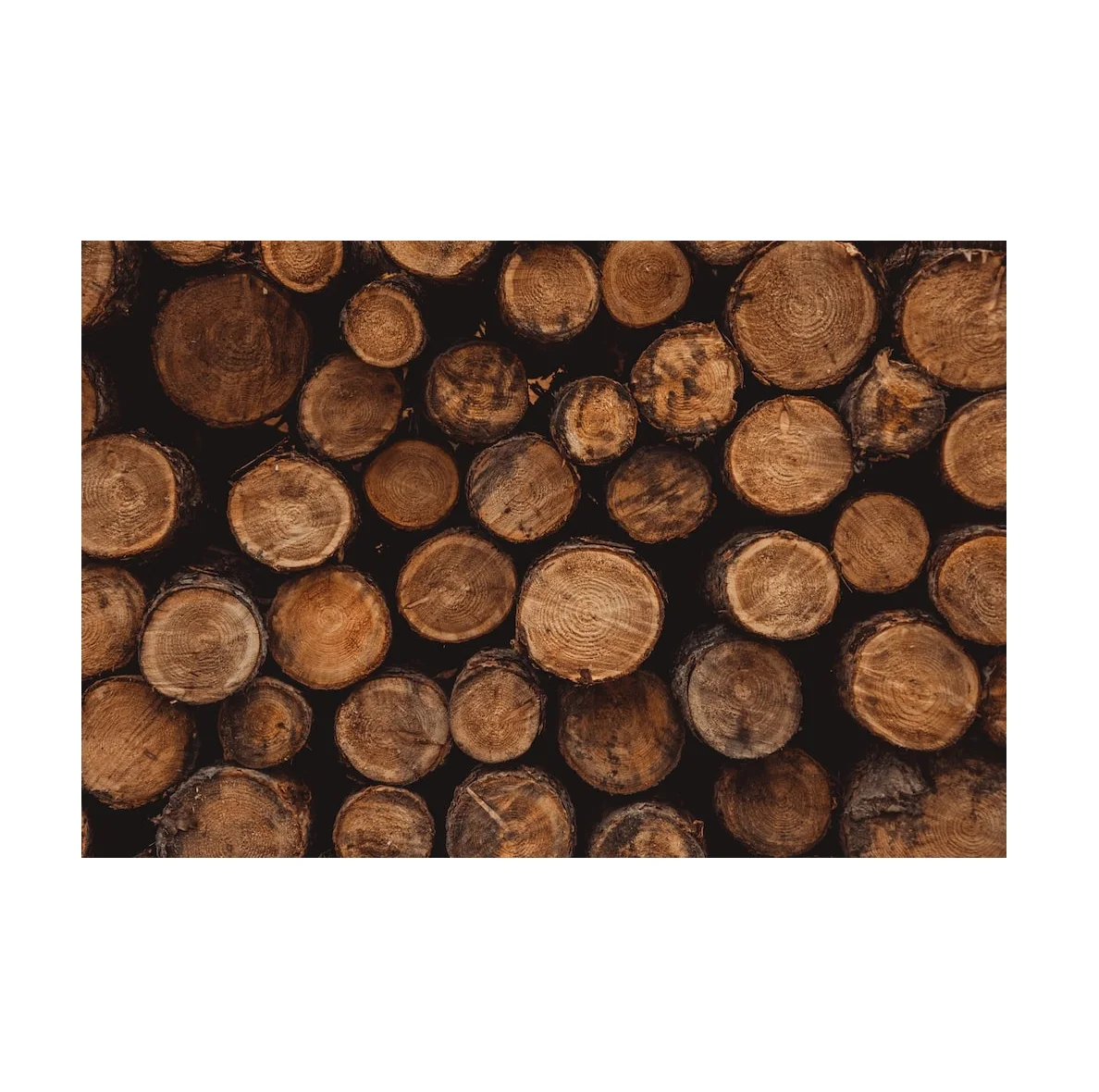 Original Hard Wood Round Logs Wood Timbers At Cheap Wholesale Price