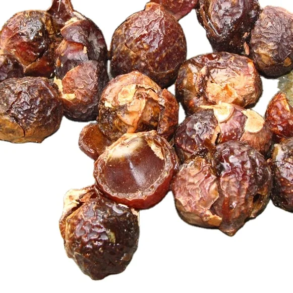 VIETNAM SOAPNUT SOAPBERRY