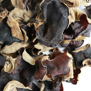 What Are Wood Ear Mushrooms?