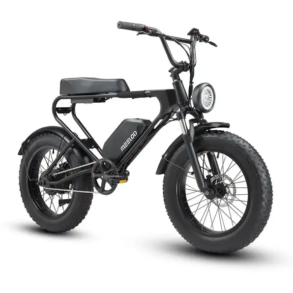 MEELOD DK200 the Best Entry-level Moped Style Ebike