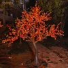 Albero di ciliegio rosso (H: 3 L: 2,2 m)