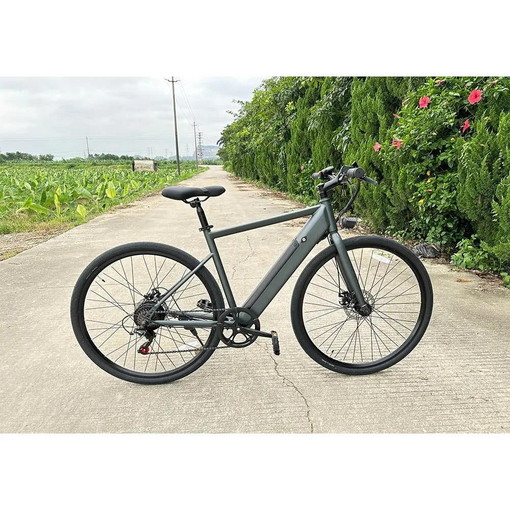 Freego E7 Electric Mountain Bicycle For City Riding