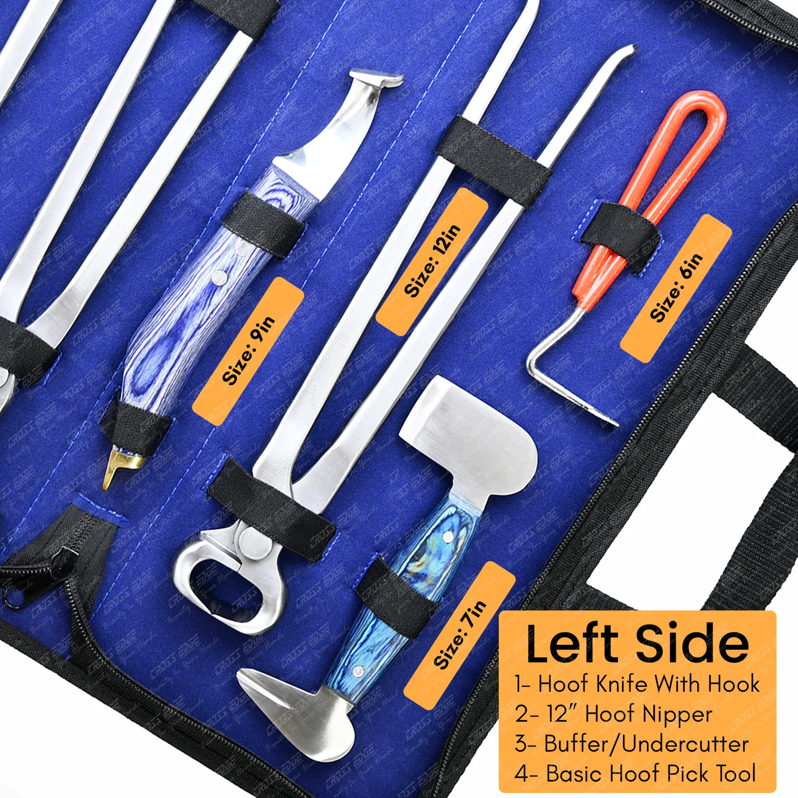 Kit d'outils de maréchal-ferrant pour le soin des sabots de cheval