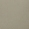 Stone Gray