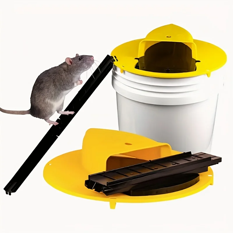 SKU_001.jpg