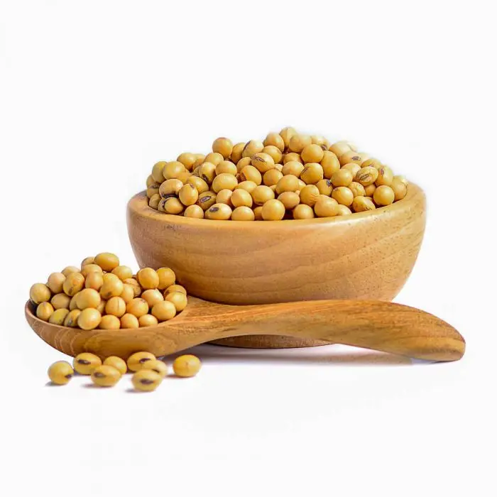 soyabean_2__3.jpg
