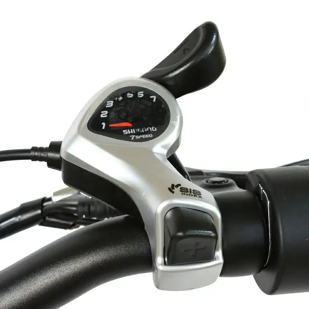 BAOLUJIE DZ-2030 20 vélo de ville électrique à enjambement bas 500W Moteur 48V 13Ah Batterie