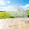Transparency