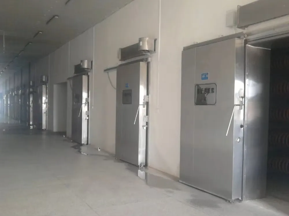 Factory Wholesale Customized Meat Food Freezer PU Insulated Cold Sliding Door