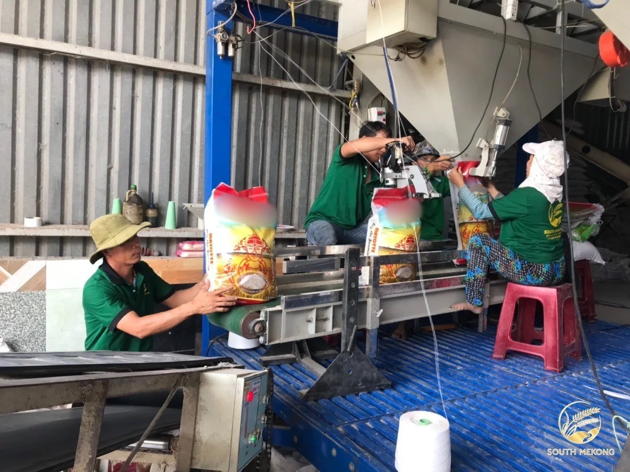 Vietnam Japonica Rice - Premium 5kg Packing from South Mekong