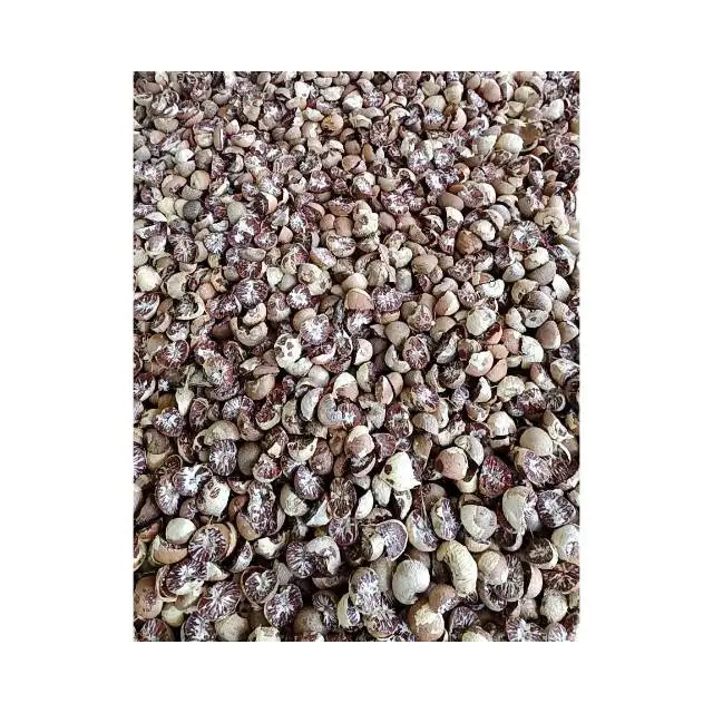 Сушеные Орехи Бетеля природный продукт из источника на юге и многих минералов