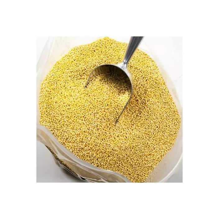 Yellow Millet Glutinous Millet For Bird Feed Buy Yellow Millet For
