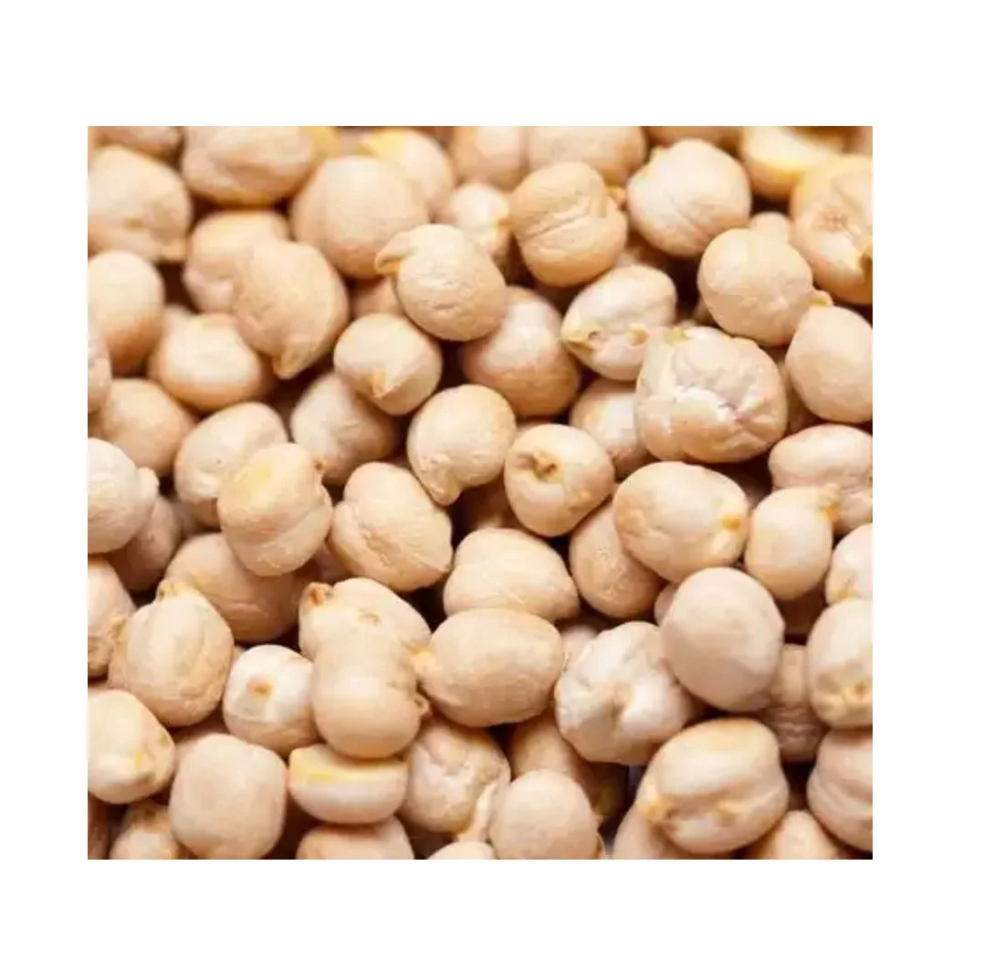 100% чистый пищевой Кабули Чана/белый нут оптовая цена сушеный Нут