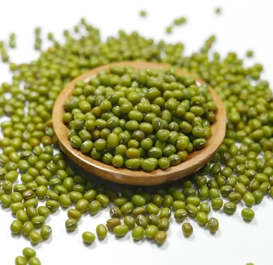 Mung Beans Good Quality Green Mung Beans Wholesale Price for export Philippines