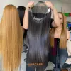 Wig 05