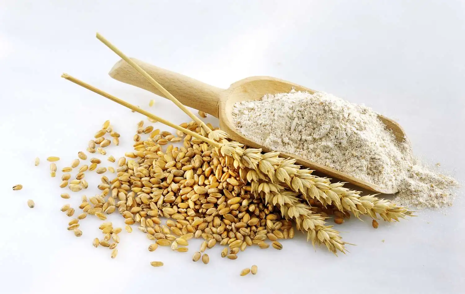 Best Quality NATIVA 1 in 25 KG Italian Wheat Flour for Pizza and Bread Made with Soy Buckwheat Nuts Ready for Sale