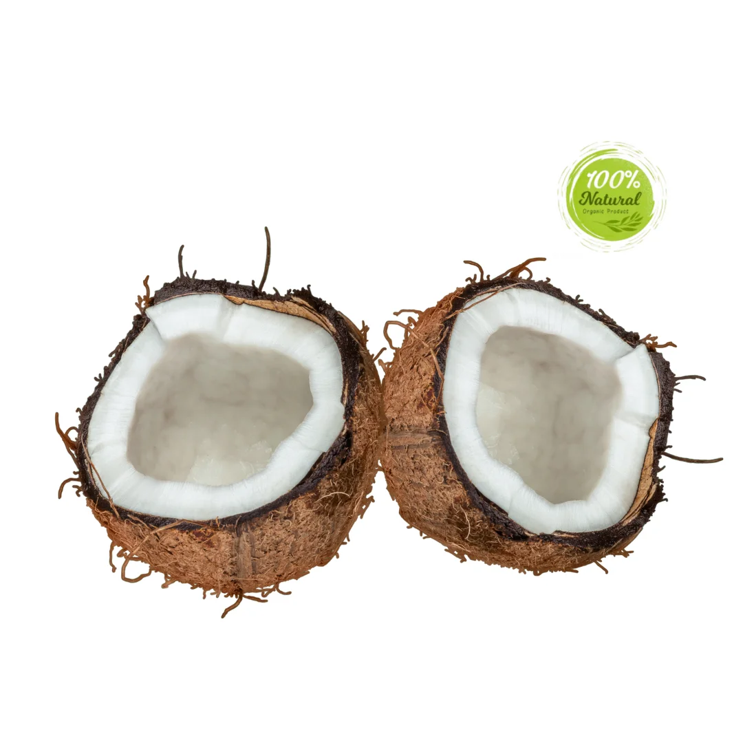 Exploring the Nutritional Value of Dried Coconut