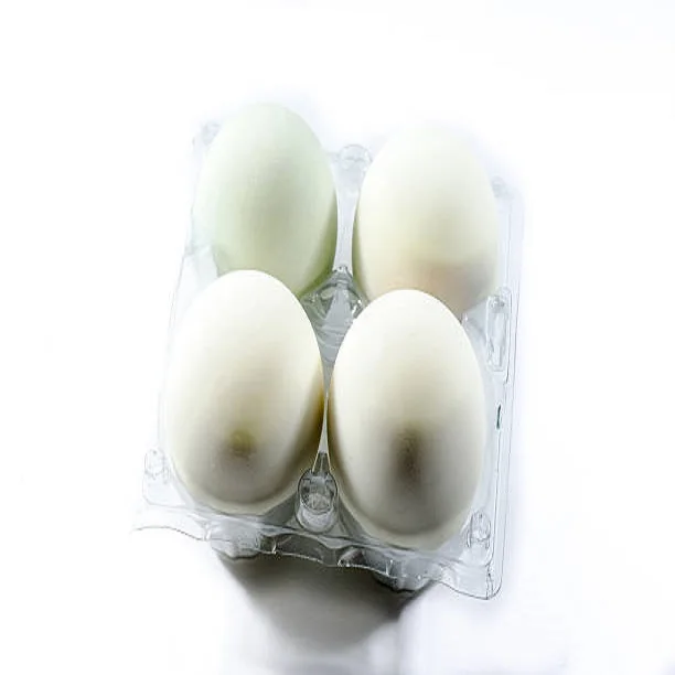 High Quality Fertile Hatching Chicken Egg/fresh Chicken Table Eggs/quail Eggs Wholesale Price