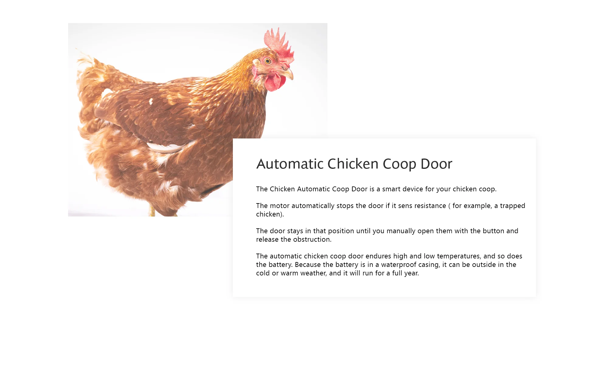 Chicksafe Eco Automatic Chicken Coop Door Opener Des Champs Dc-doo-1 On ...