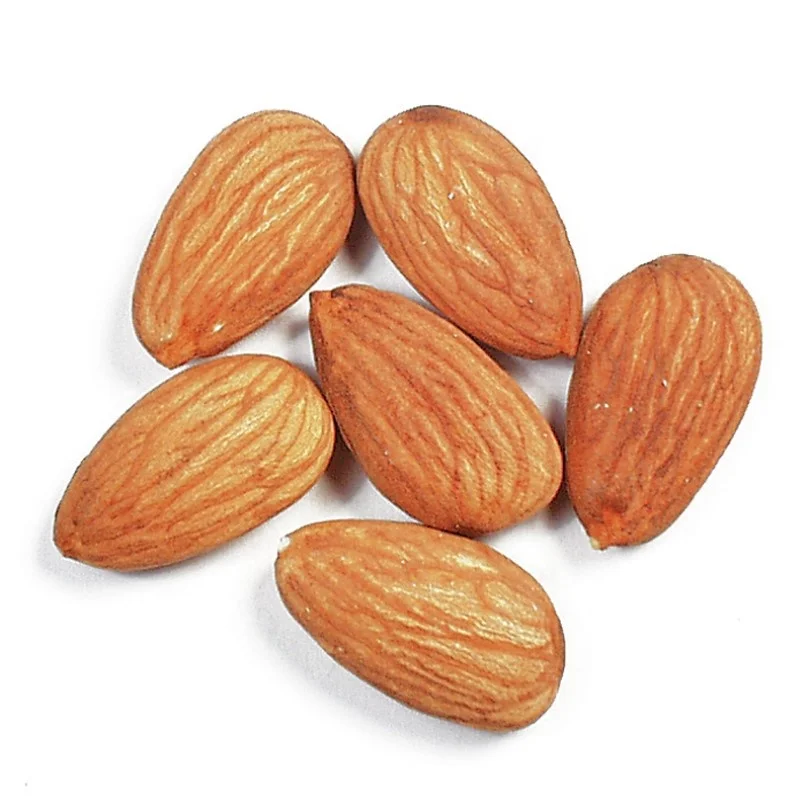 Wholesale Price High Quality Almond almond nuts 1 kg california almond