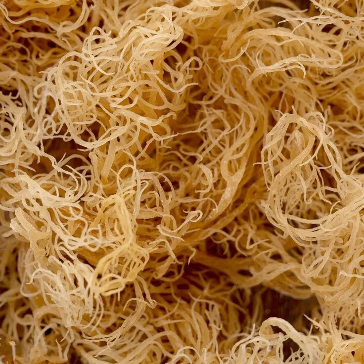 IRISH DRIED SEAMOSS CARTILAGE HIGH QUALITY FROM VIETNAM  TRACY