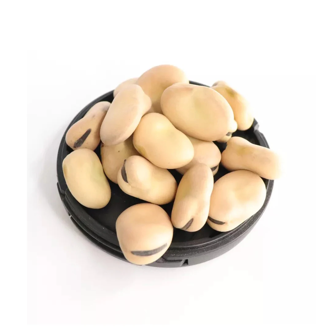 Dried Broad Beans Bulk Dry Fava Beans Buy Wholesale High Quality Dry