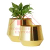 Antique Gold